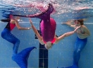 schwimmen-meerjungfrauen2018_7